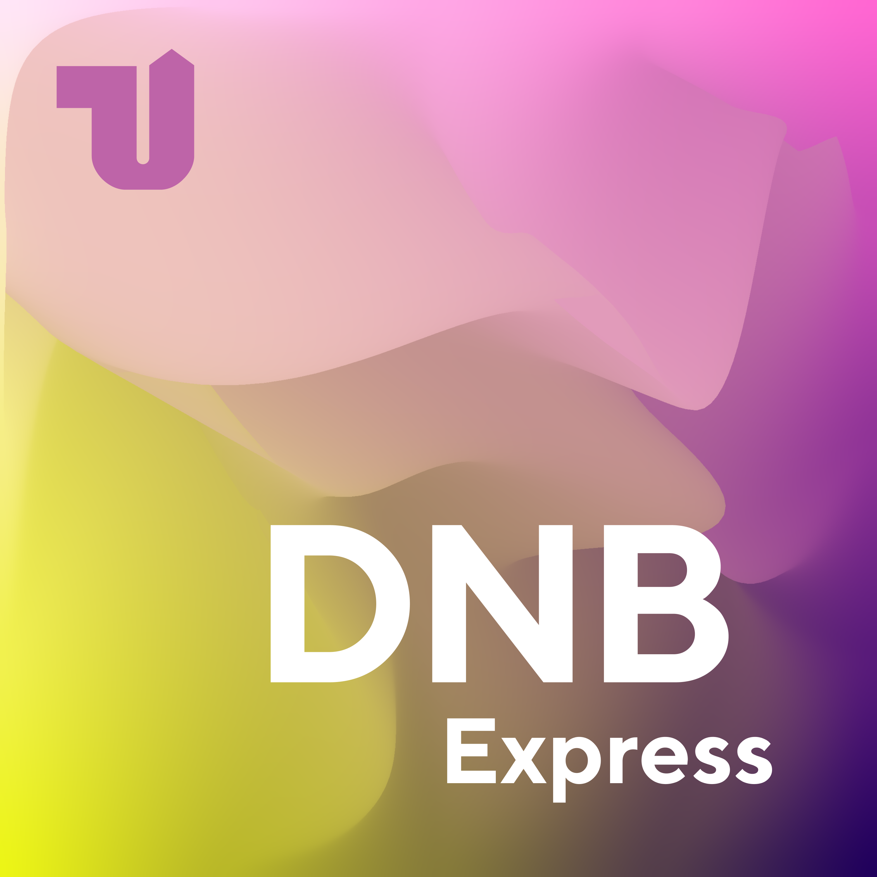DNB Express